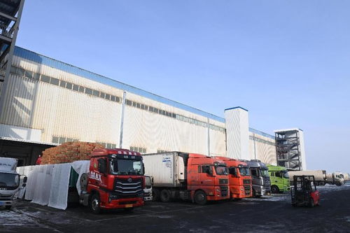 新疆海鸿国际食品物流港汇通智冷4万吨仓库试运行